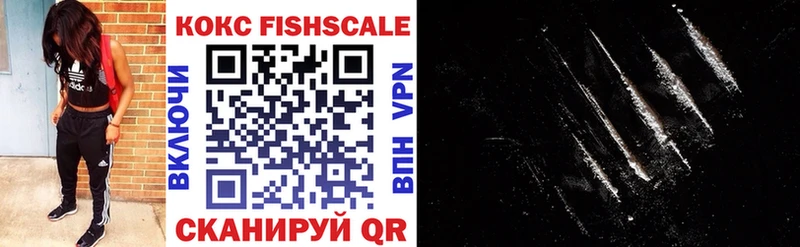 блэк спрут зеркало  как найти закладки  Сланцы  COCAIN FishScale 