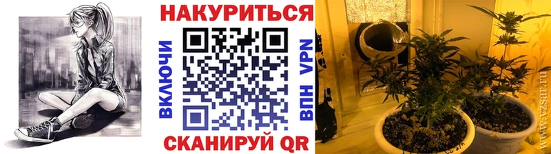 Шишки марихуана тримм  Сланцы 